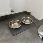 Ferienwohnung am See Dillich - Eigener eingezäunter Garten - Ruhige Lage - Hunde willkommen - Natur vor der Haustür