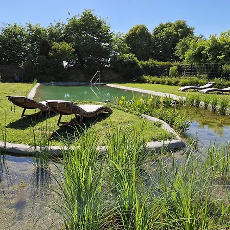 Appartement Am Dillich - Schwimmteich - Eigener Garten - Ruhige Lage - Hunde Willkommen Borken (Hessen)