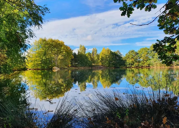Apartment Am Dillich - Eigener Eingezaeunter Garten - Ruhige Lage - Hunde Willkommen - Vor Der Haustuer *