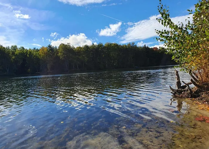 Am Dillich - Eigener Eingezaeunter Garten - Ruhige Lage - Hunde Willkommen - Vor Der Haustuer Apartment Borken (Hessen)