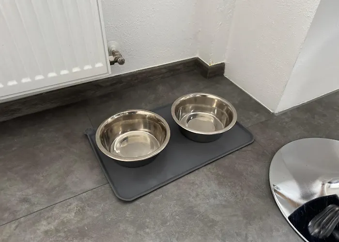 Am Dillich - Eigener Eingezaeunter Garten - Ruhige Lage - Hunde Willkommen - Vor Der Haustuer